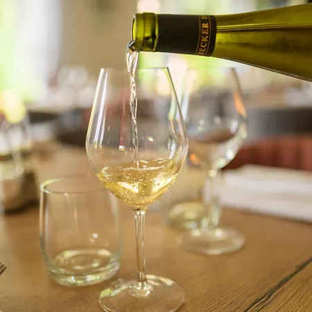 酒店 Restaurant Au Relais D'alsace 3*