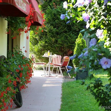 Restaurant Au Relais D'alsace 酒店 3*